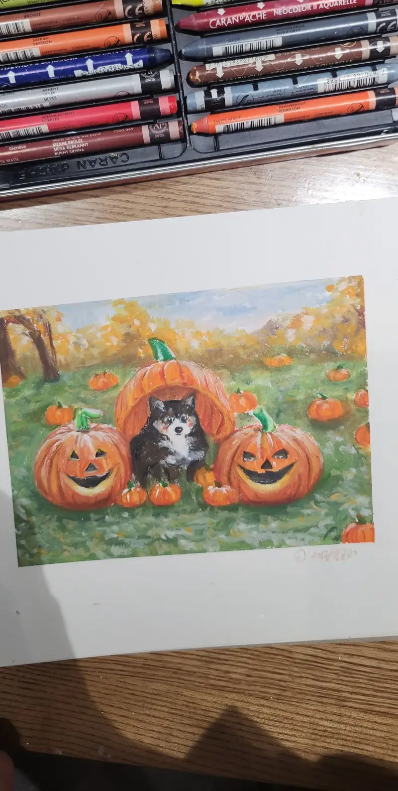 오일파스텔,까렌다쉬네오컬러2,문교오일파스텔,카와치빅오일파스텔