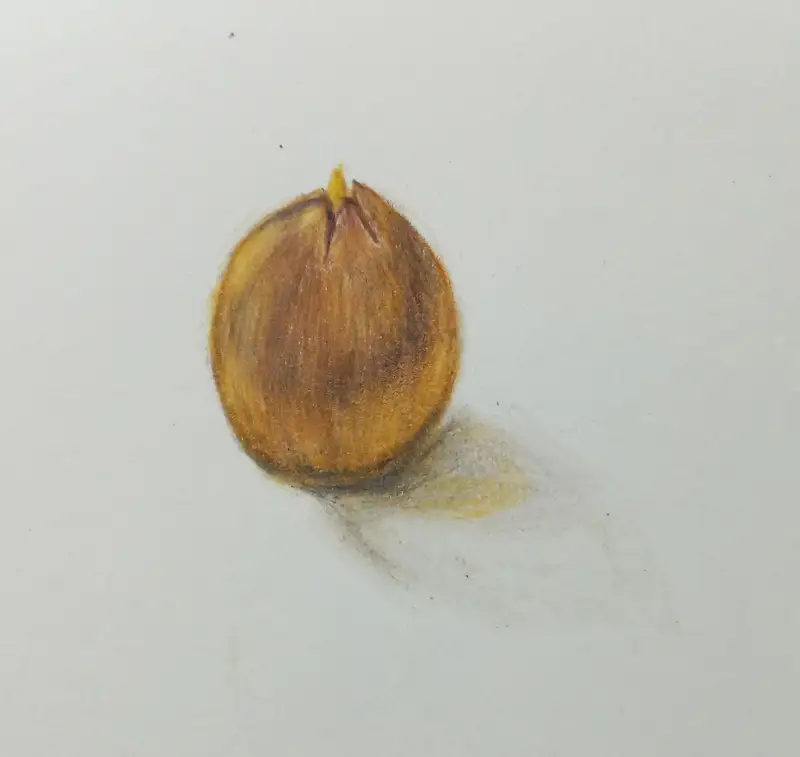 니오니유성색연필,문교오일파스텔,화방넷드로잉로그