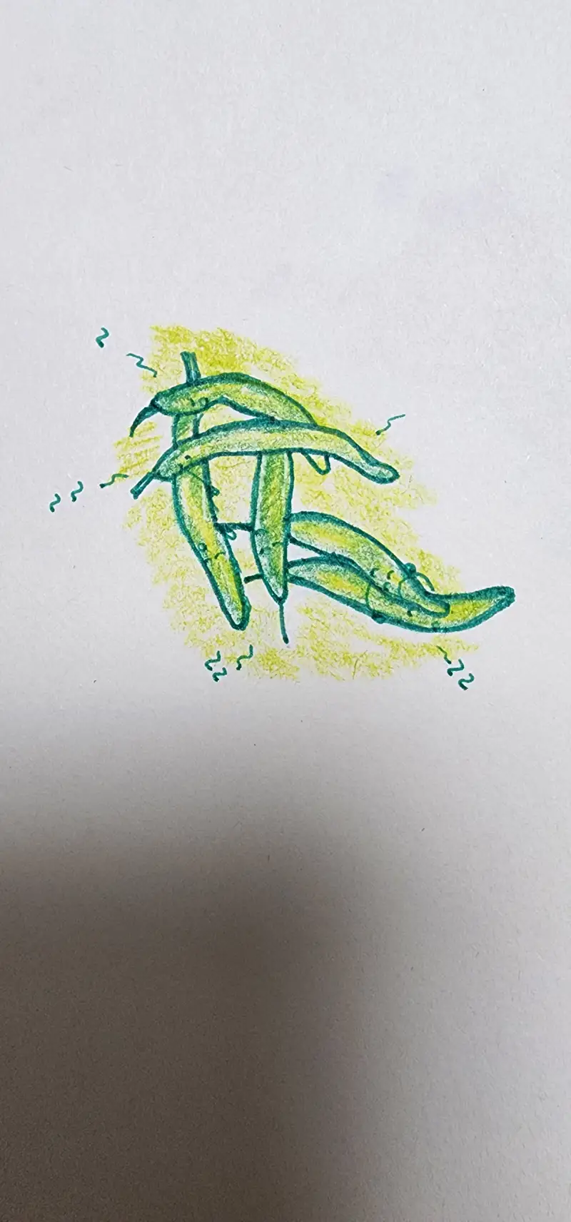 드로잉로그,드로잉로그2기,화방넷드로잉로그2기,낮잠