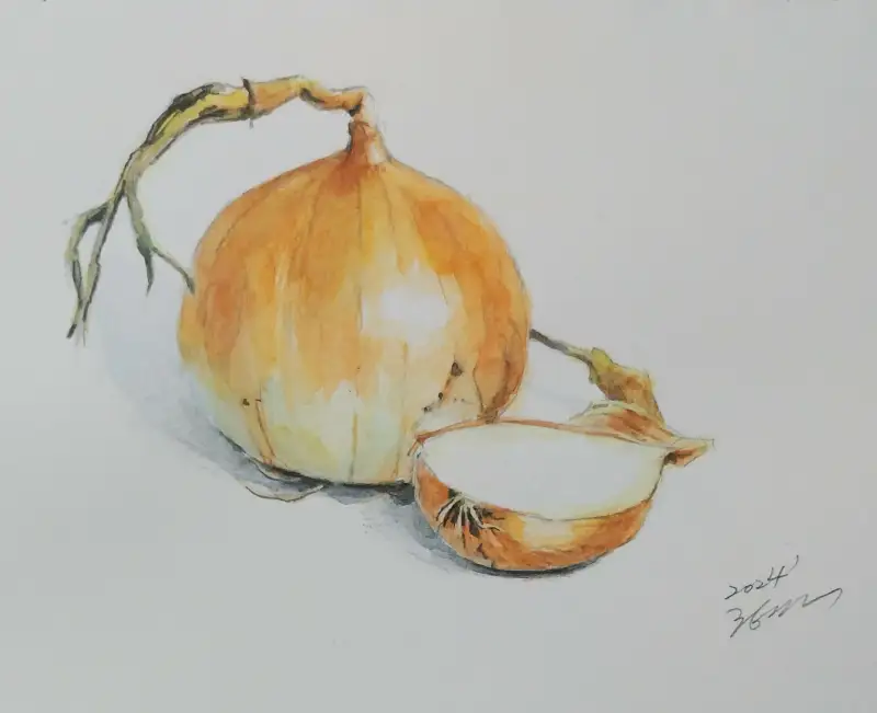 화방넷,드로잉로그,채소,양파,수채화