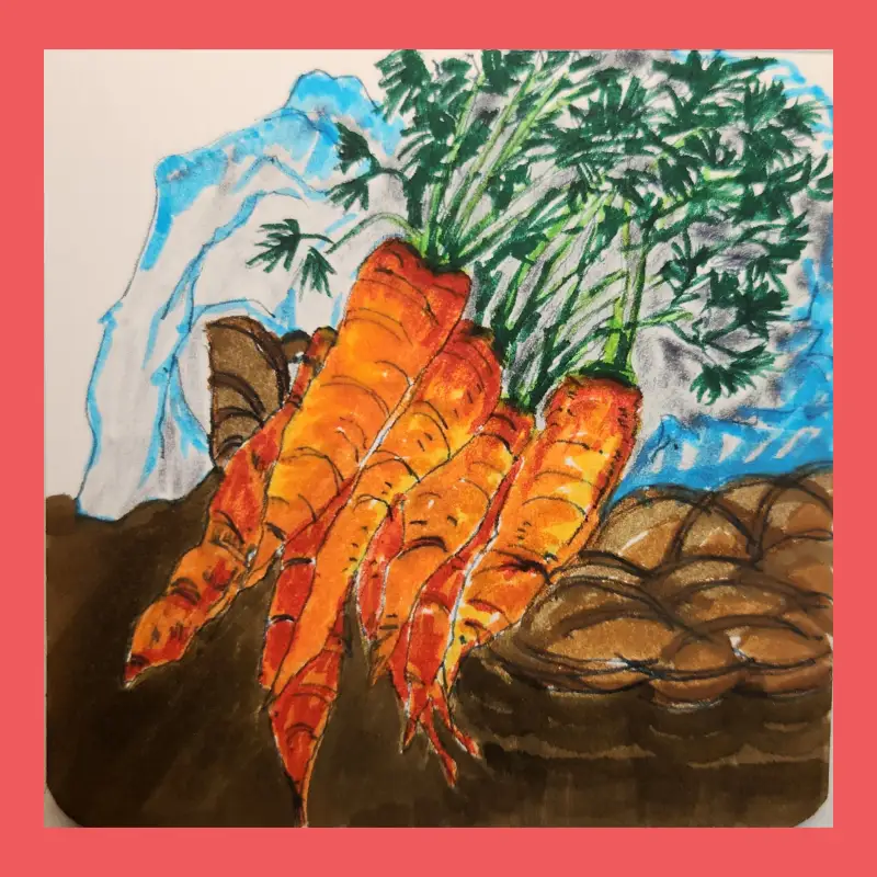 드로잉로그,2기2주차,채소그리기