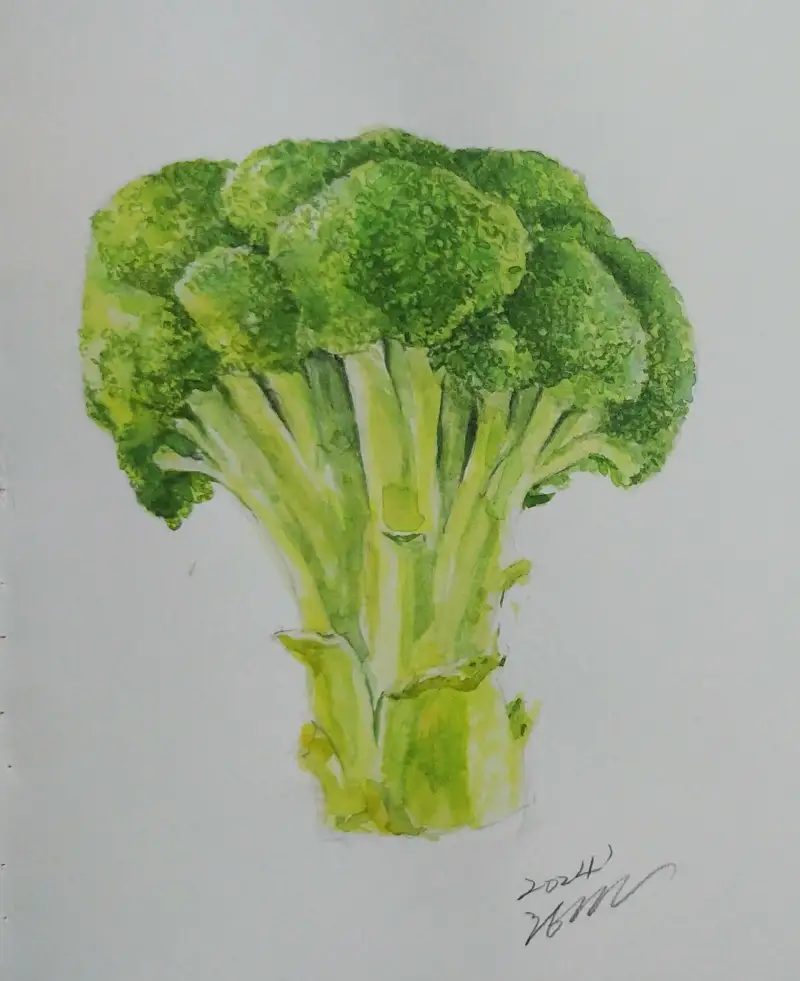 화방넷,드로잉로그,2주차,채소,브로콜리,수채화