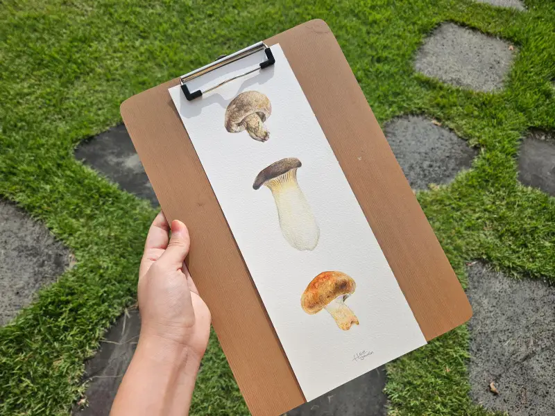 화방넷드로잉로그,화방넷,드로잉로그,사용한재료,미젤로골드,화홍,루벤스,파버카스텔,까렌다쉬,스테들러