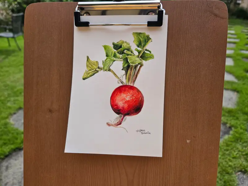 화방넷드로잉로그,드로잉로그,사용한재료,파브리아노,미젤로골드,파버카스텔,까렌다쉬,스테들러,루벤스,화홍