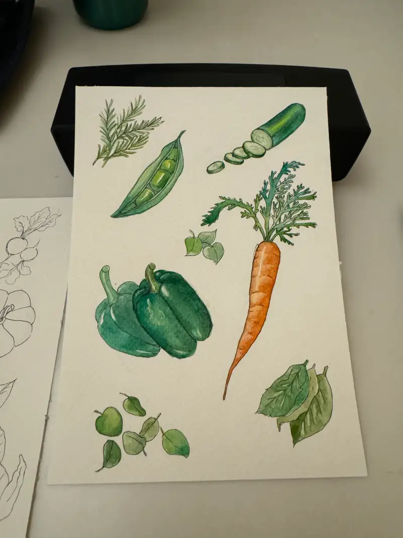 채소그리기,채소,드로잉로그