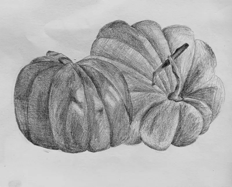 소묘,연필,호박