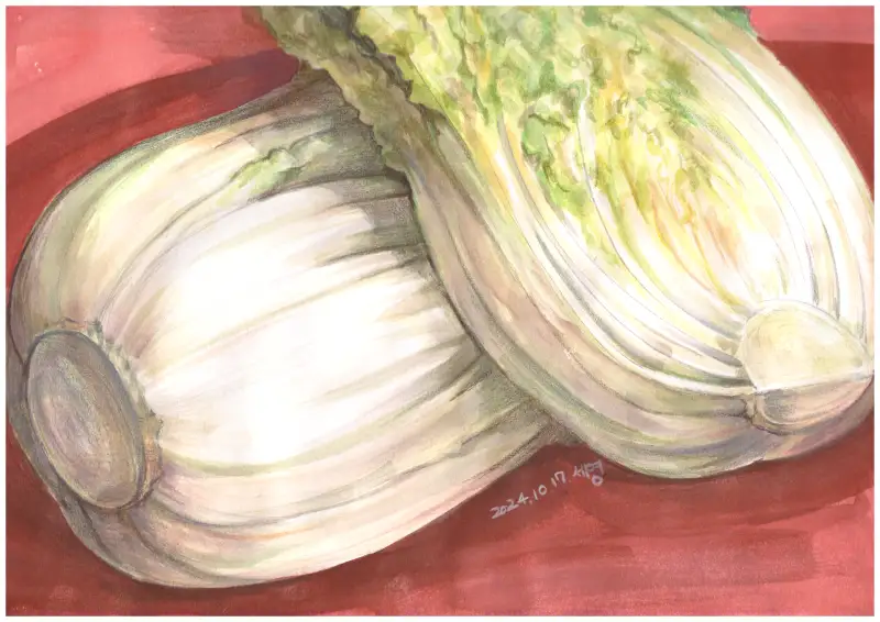 드로잉로그챌린지,드로잉로그2기,드로잉로그,채소,배추,색연필,수채화