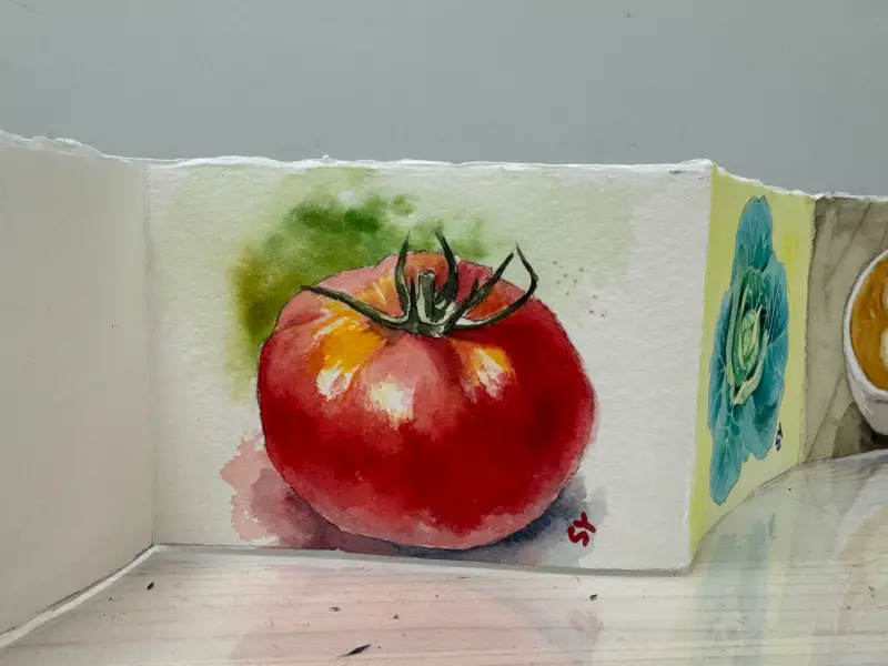 드로잉로그,채소,토마토