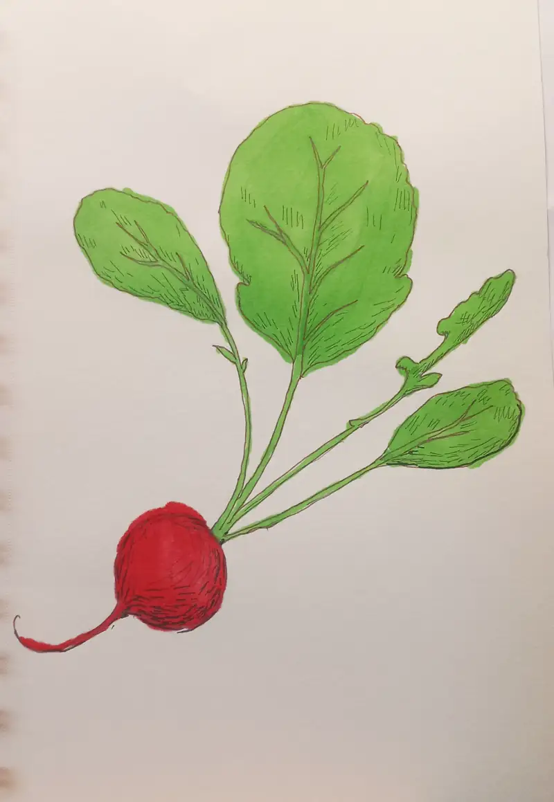 드로잉로그,윈저앤뉴튼,파인라이너,신한터치마카,마카