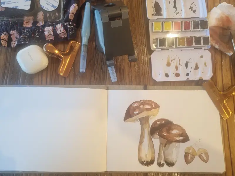 드로잉로그,버섯그리기,쉬민케호리담