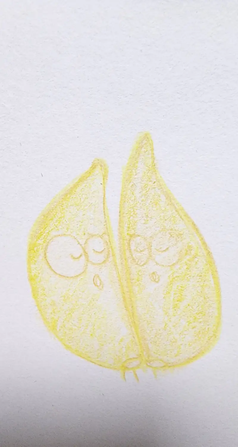 드로잉로그,드로잉로그2기,화방넷드로잉로그2기,바나나빵