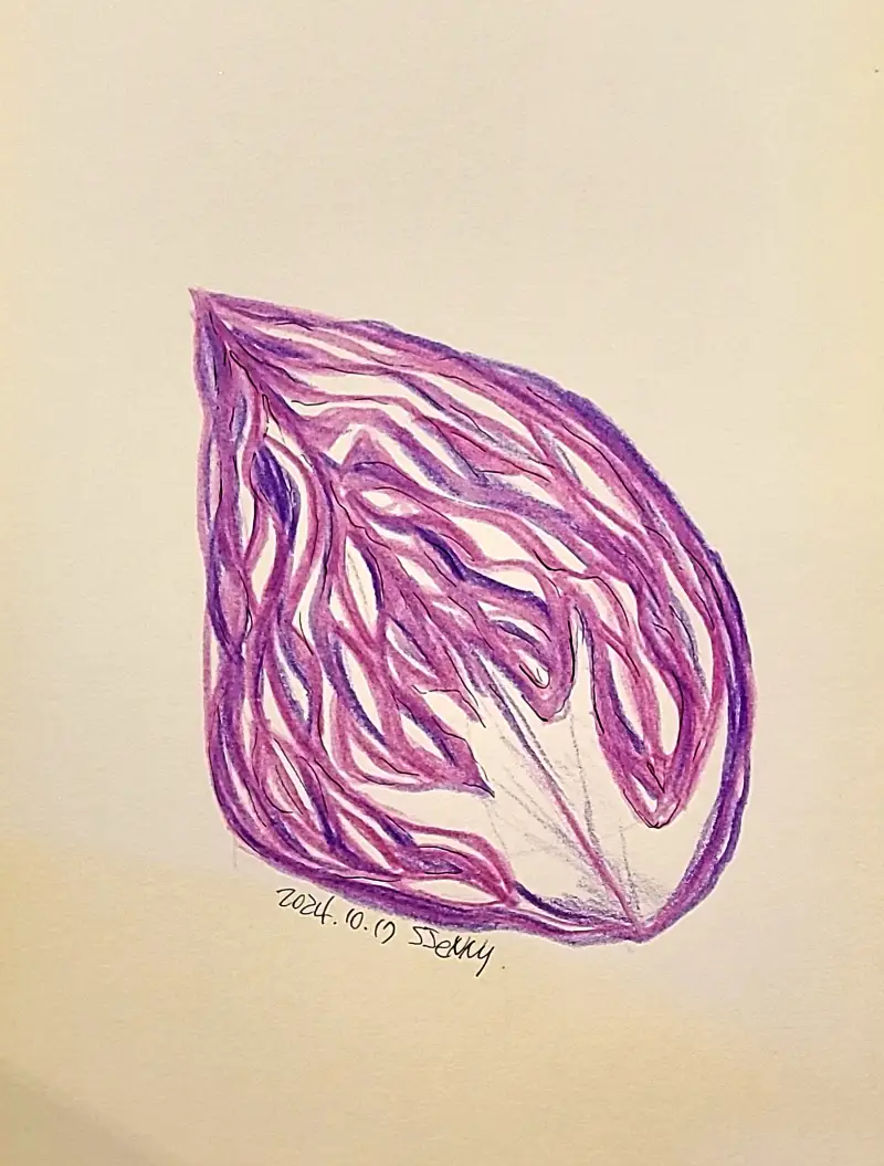 드로잉로그,화방넷드로잉로그,색연필