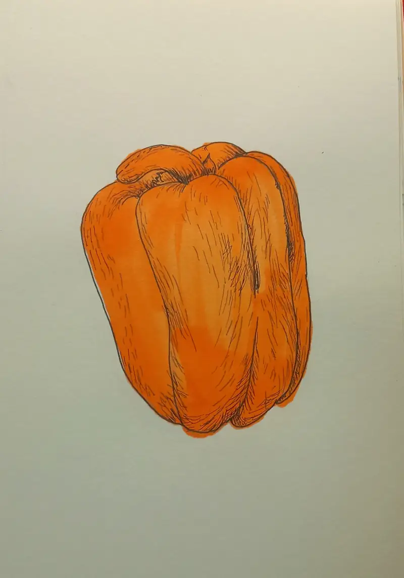 드로잉로그,신한터치마카,마카,윈저앤뉴툰,파인라이너