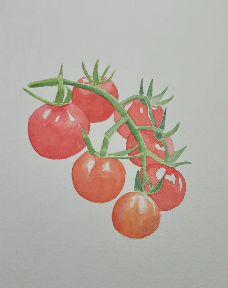 화방넷드로잉로그,드로잉로그,수채화,채소그리기