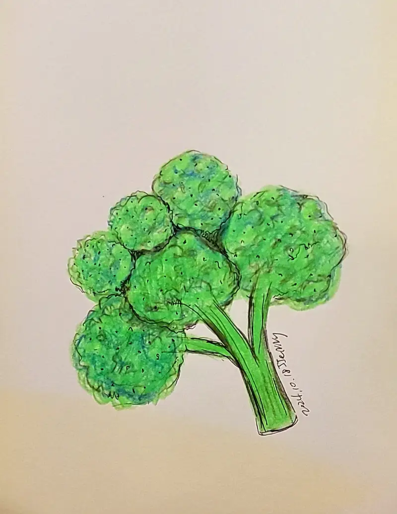 드로잉로그,화방넷드로잉로그,색연필