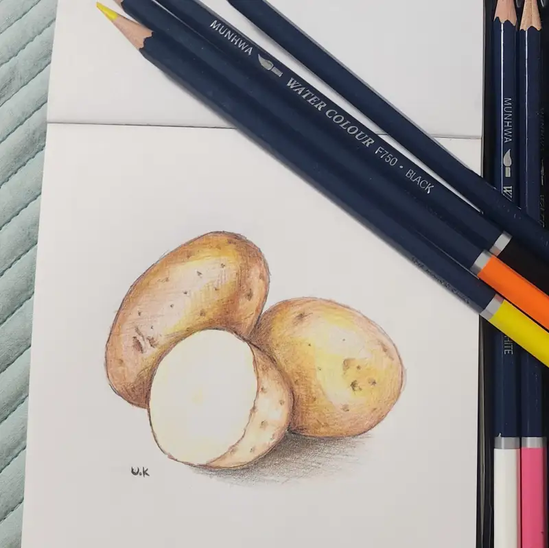 드로잉챌린지2주차_감자,라디샤