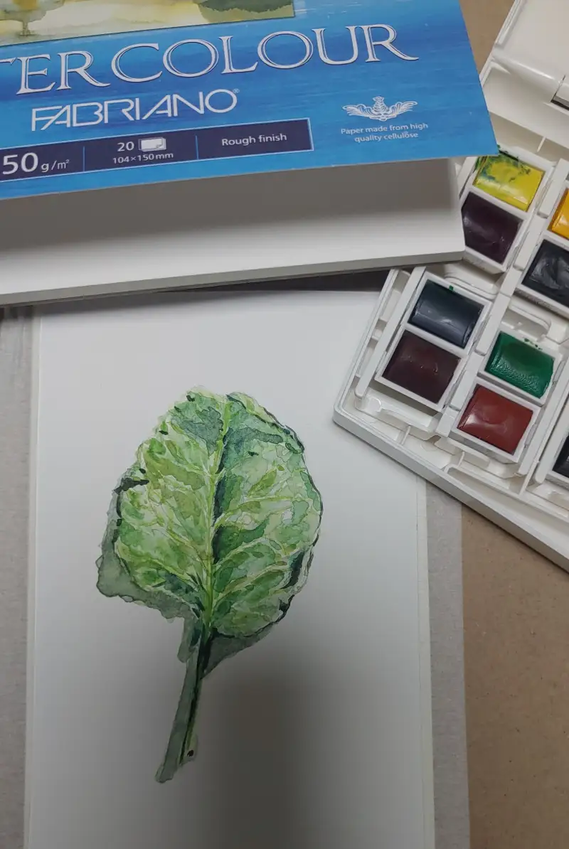 윈저앤뉴튼코트만고체물감,파브리아노수채화엽서패드,파브리아노