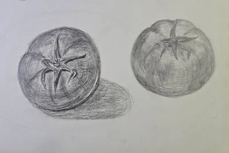 드로잉로그,토마토,연필