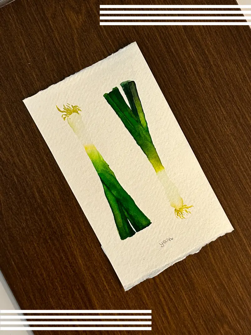 드로잉로그,채소,대파