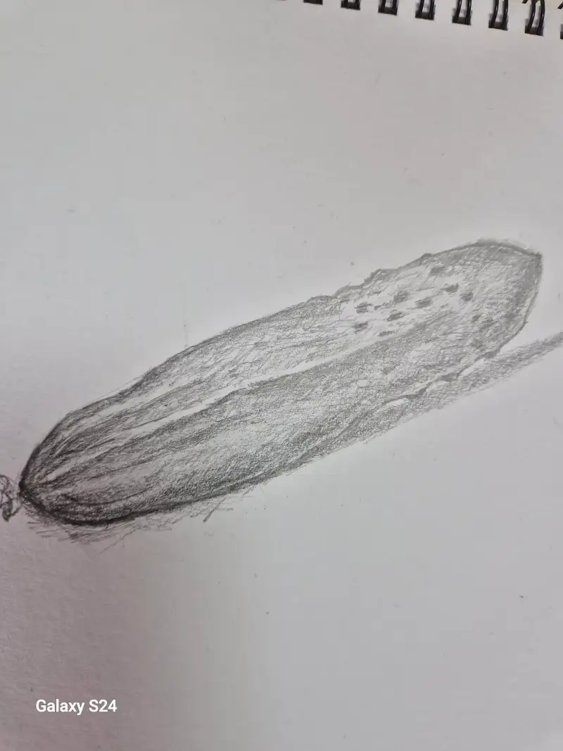 화방넷드로윙로그,야채,오이