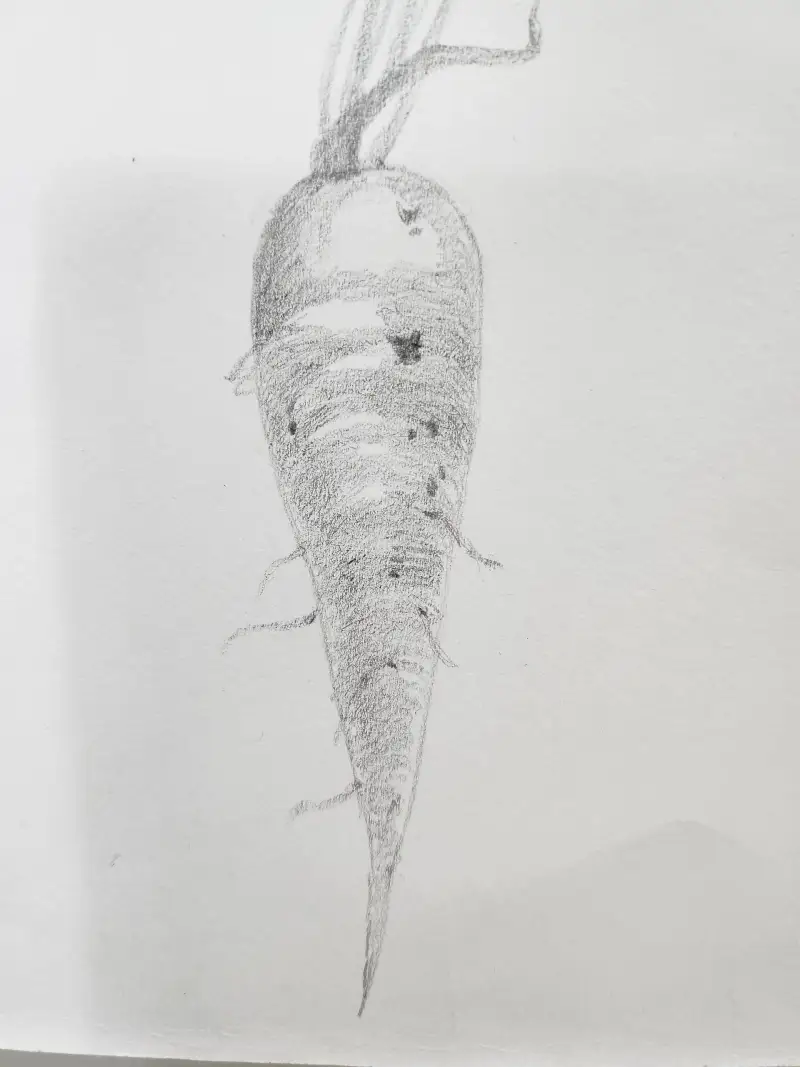 화방넷드로잉로그,당근,야채,연필화,HB연필