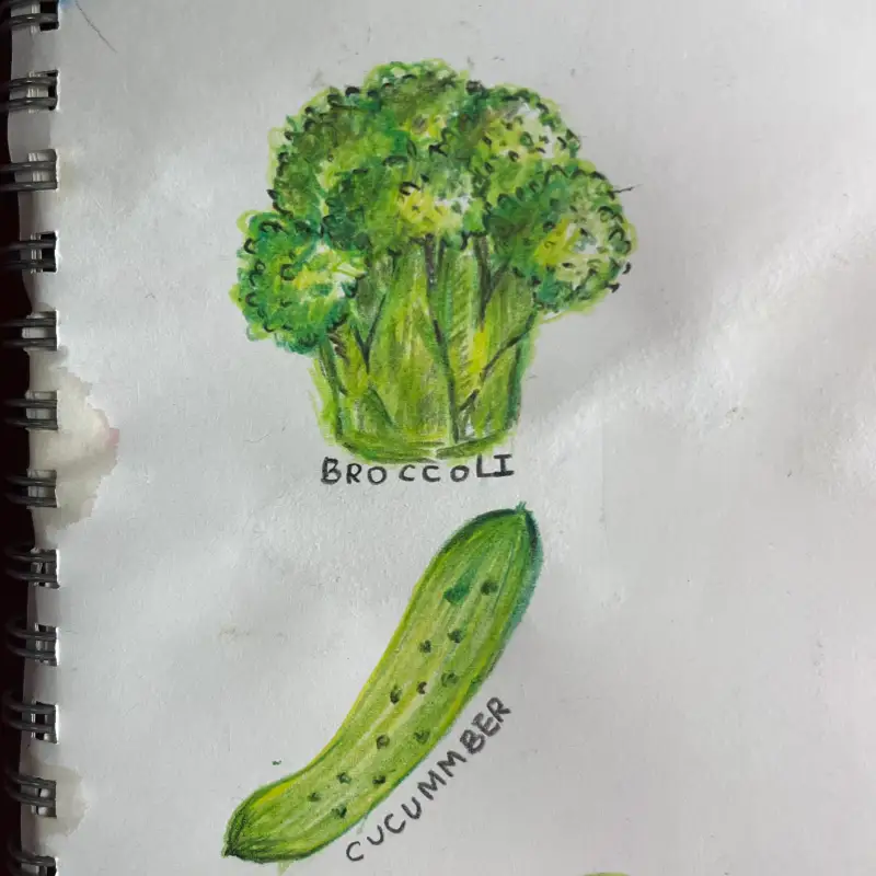 프리즈마유성72색,유성색연필