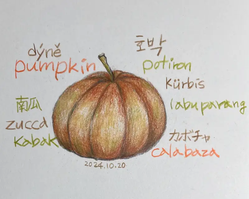 프리즈마유성색연필,톰보우모노J_HB