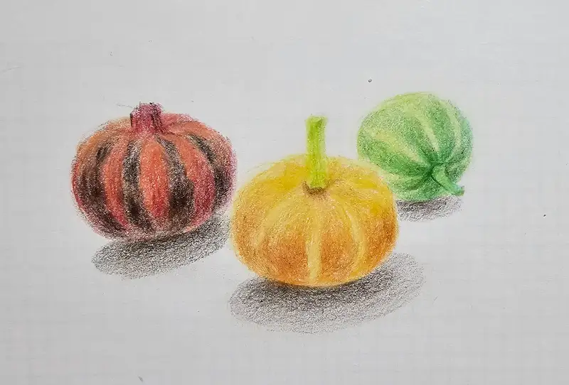 화방넷드로잉로그,가을채소그리기,색연필화,prismacolor