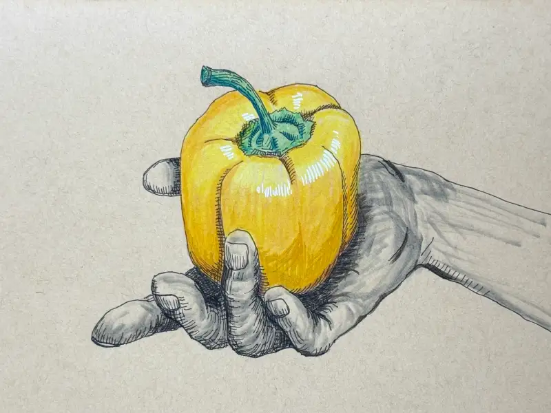 하네뮬레,크래프트스케치북,스테들러피그먼트라이너,까렌다쉬,PABLO