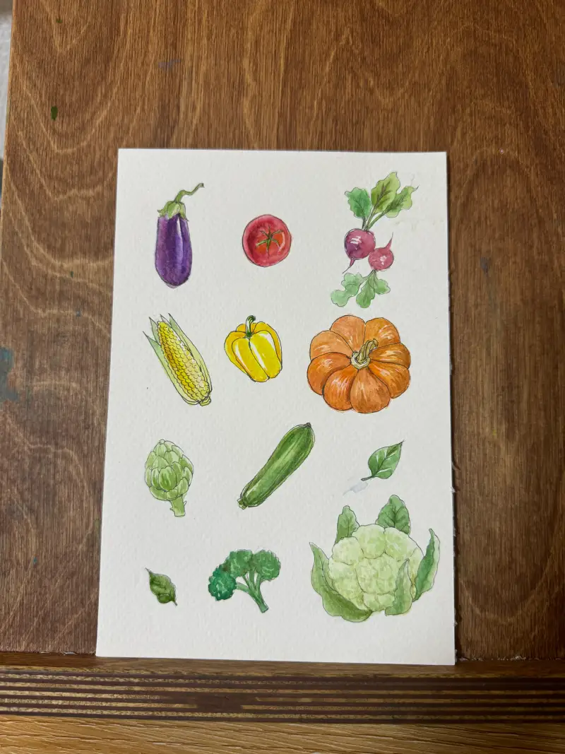 드로잉로그,야채,채소