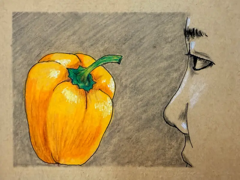 하네뮬레,크래프트스케치북,스테들러피그먼트라이너,까렌다쉬,PABLO