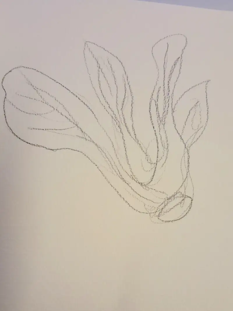 화방넷드로잉로그