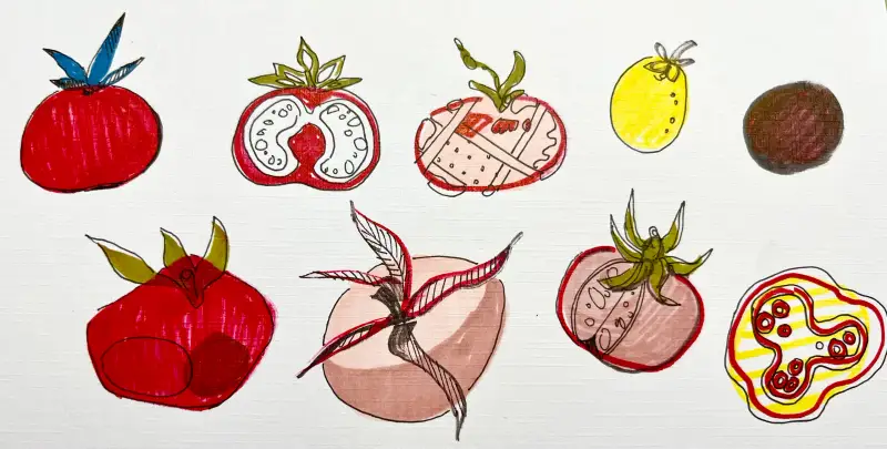 토마토,드로잉로그,마카,코픽,피그마,코픽마카