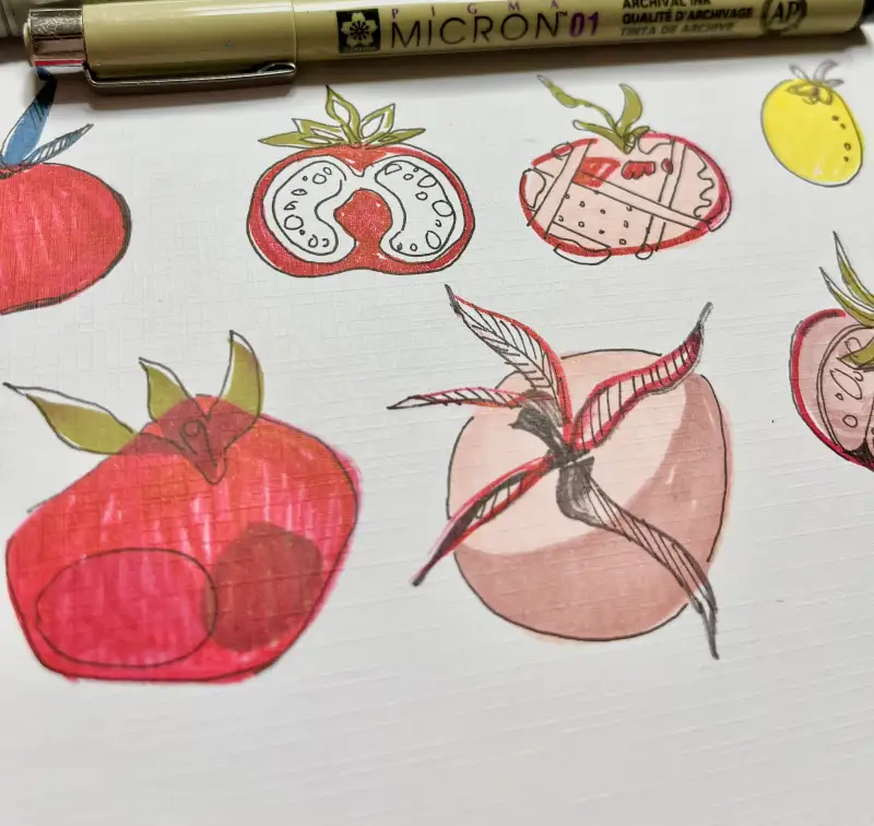 토마토,마카,드로잉로그,피그마,코픽,마이크론