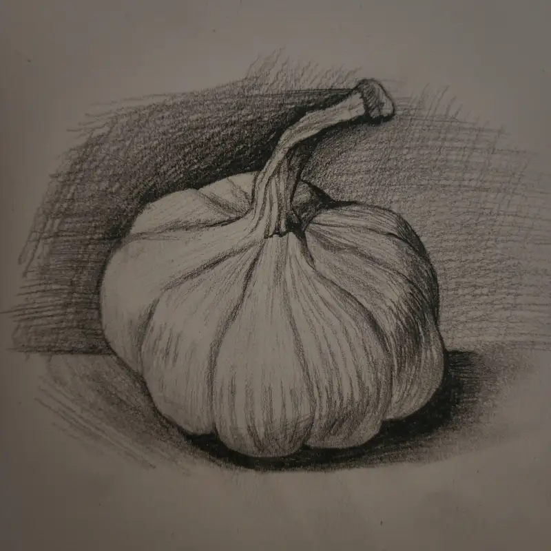 드로잉로그2기,2주차,마늘,소묘