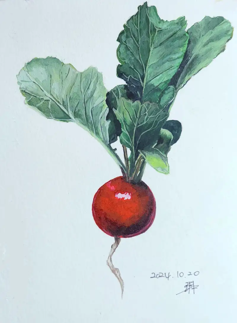 드로잉로그,화방넷드로잉로그,채소,그리기,과슈