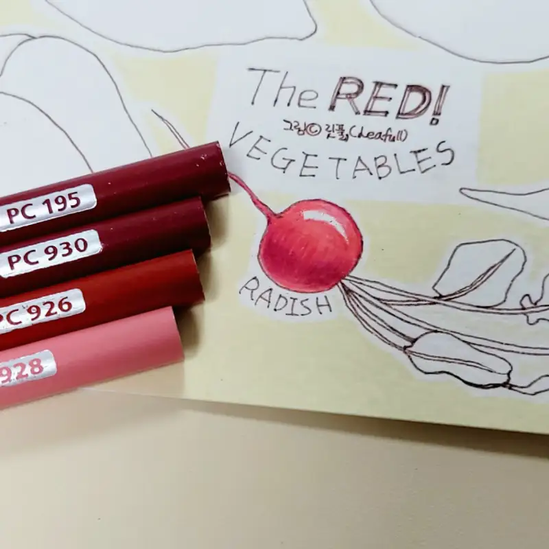 색연필화,프리즈마색연필