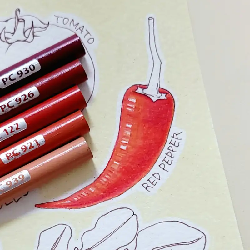 색연필화,프리즈마색연필