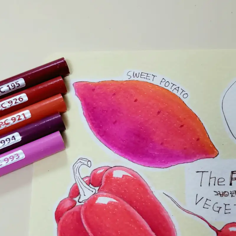 색연필화,프리즈마색연필