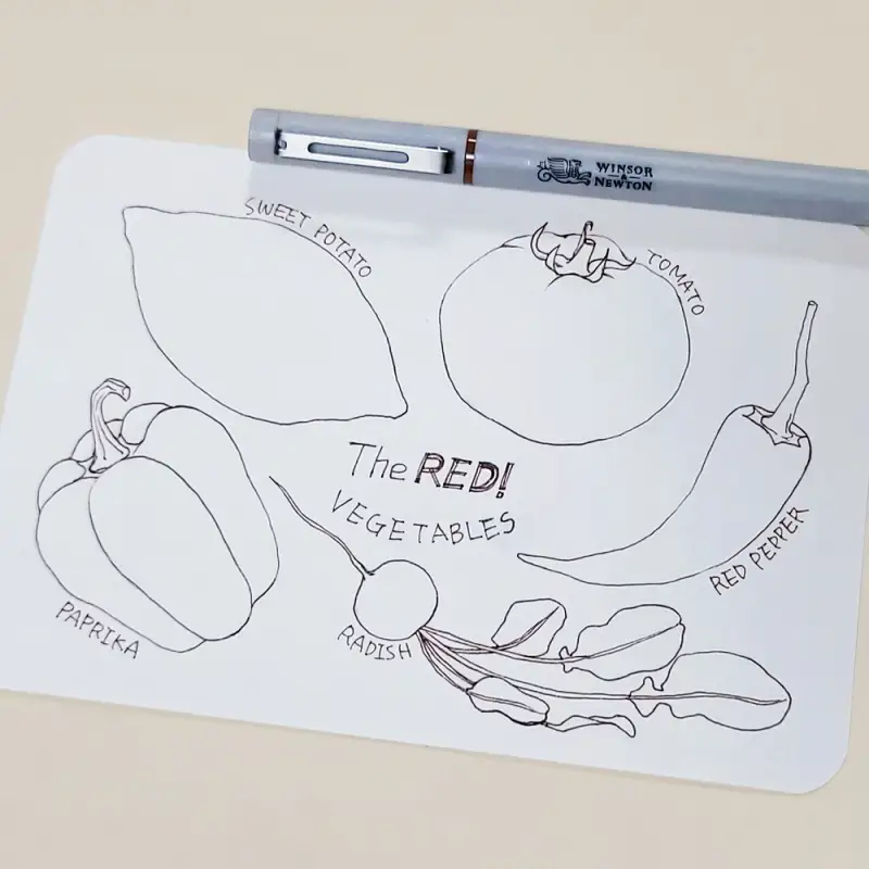 펜드로잉,윈저앤뉴튼,파인라이너,윈저앤뉴튼펜