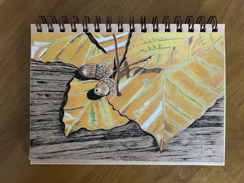 화방넷드로잉로그,화방넷드로잉로그3기,드로잉로그,가을