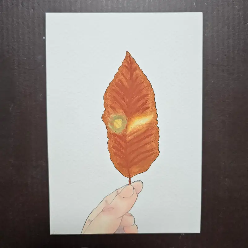 드로잉로그챌린지,드로잉로그