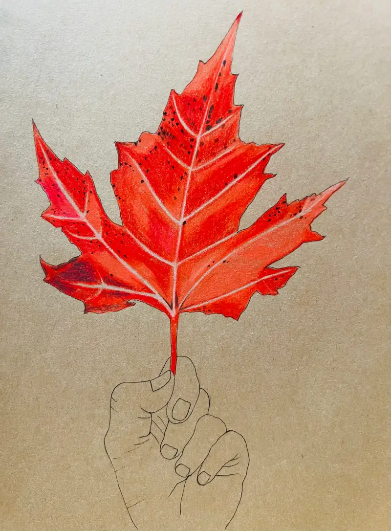 화빙넷,화방넷드로잉로그,드로잉로그,펜그림,색연필드로잉,펜드로잉