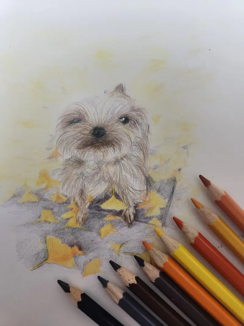 수채색연필,퍼버카스텔,파펠시노브리즈톨지