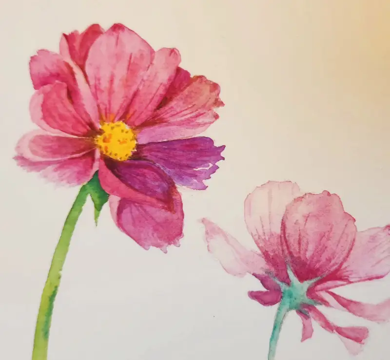 코스모스,가을,드로잉로그,수채화