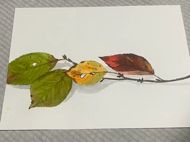 드로잉로그3기,가을,낙엽,1주차,수채화