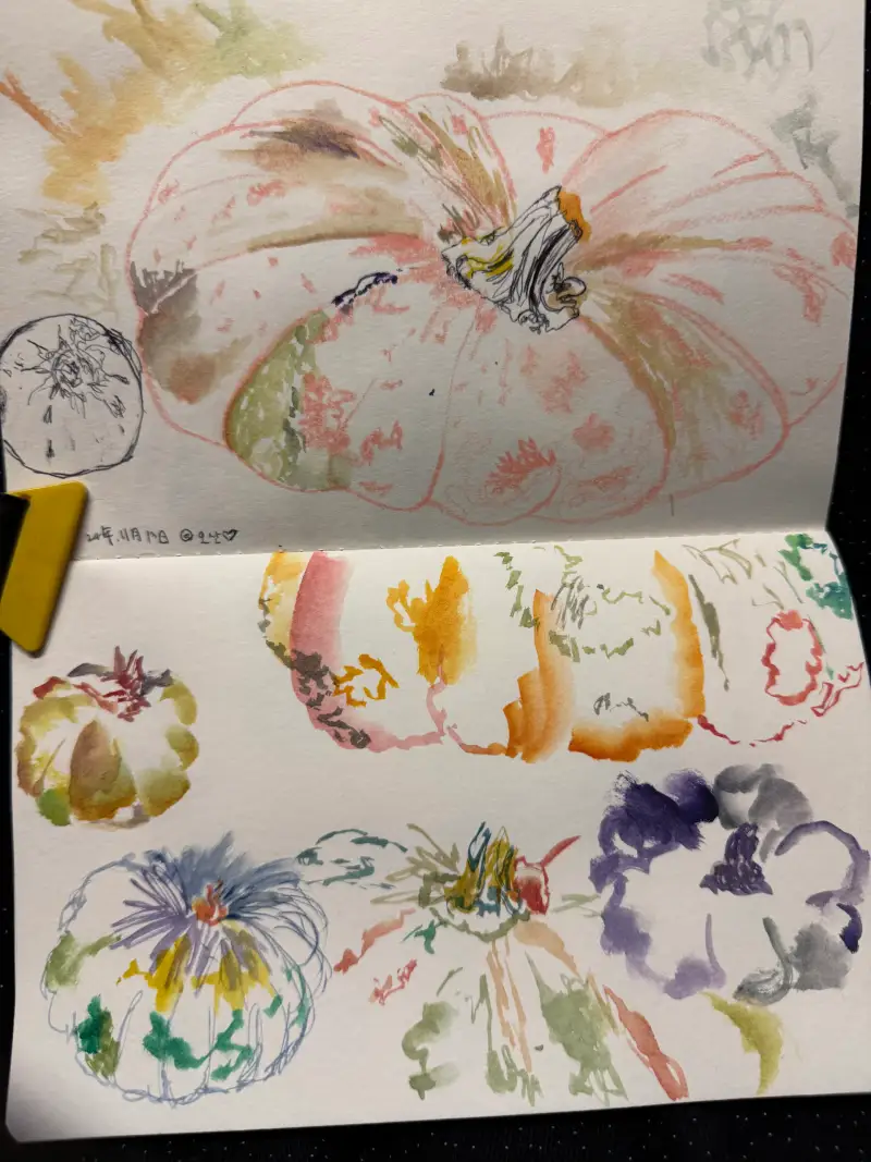 문교수채화물감