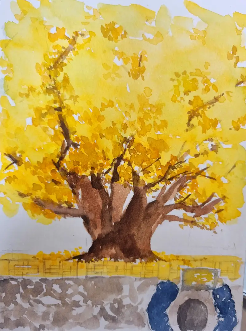 홀베인,하렌뮬러,수채패드