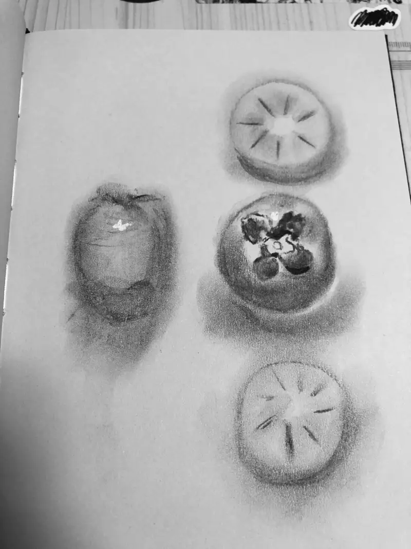 화방넷드로잉로그