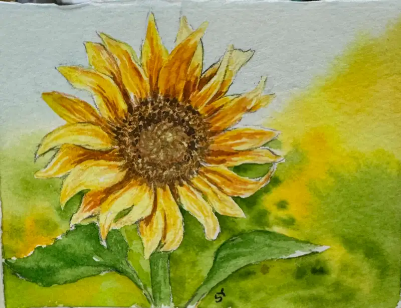 드로잉로그3기,가을,1주차,해바라기